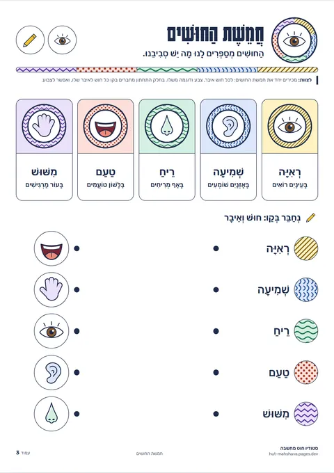 דף חמשת החושים מתוך הערכה